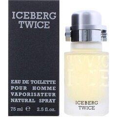 Туалетная вода Iceberg Twice EDT для мужчин 75 мл цена и информация | Мужские духи | pigu.lt