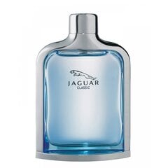 Мужская парфюмерия Classic Jaguar EDT (100 ml) цена и информация | Мужские духи | pigu.lt