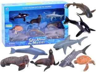 Jūros gyvūnų figūrėlių rinkinys ZA2986 kaina ir informacija | Žaislai kūdikiams | pigu.lt