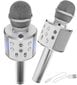 Vaikiškas karaoke mikrofonas su garsiakalbiu, sidabrinis kaina ir informacija | Lavinamieji žaislai | pigu.lt