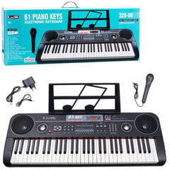 Pianinas ir mikrofonas, 61 klavišas 328-06 IN0082 kaina ir informacija | Lavinamieji žaislai | pigu.lt
