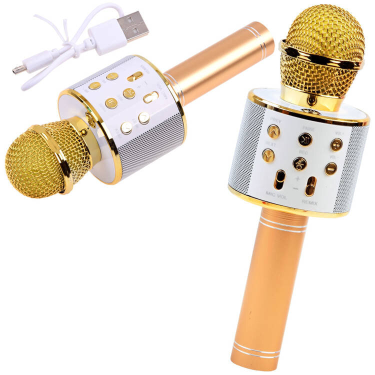 Belaidis karaoke mikrofono garsiakalbis, auksinis IN0136 kaina ir informacija | Lavinamieji žaislai | pigu.lt
