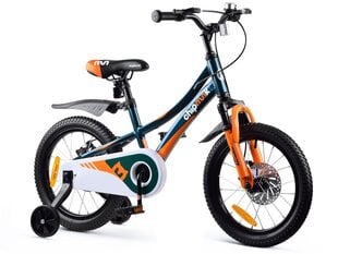 Vaikiškas dviratis RoyalBaby, 16 colių CM16-3, žalias kaina ir informacija | Dviračiai | pigu.lt