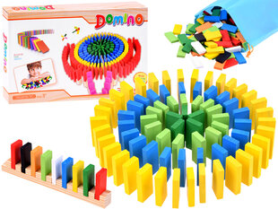Medinės spalvos domino kaladėlės 300 vnt ZA3861 kaina ir informacija | Lavinamieji žaislai | pigu.lt