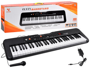 Pianino klaviatūra SD-S850 ir mikrofonas, 61 klavišas IN0143 kaina ir informacija | Lavinamieji žaislai | pigu.lt