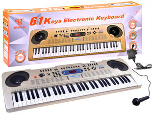 Клавиатура для фортепиано с микрофоном SD-6111A 61 клавиша, золото IN0149 цена и информация | Развивающие игрушки | pigu.lt