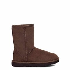 UGG auliniai batai moterims 370213, rudi цена и информация | Женские сапоги | pigu.lt