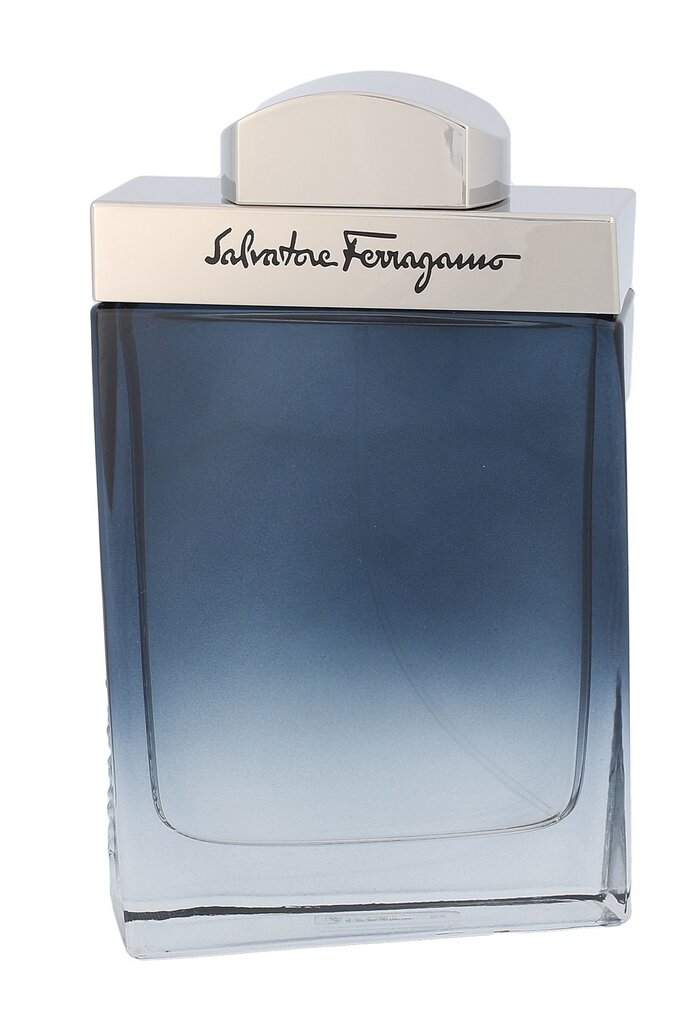 Tualetinis vanduo Salvatore Ferragamo Subtil EDT vyrams 100 ml kaina ir informacija | Kvepalai vyrams | pigu.lt