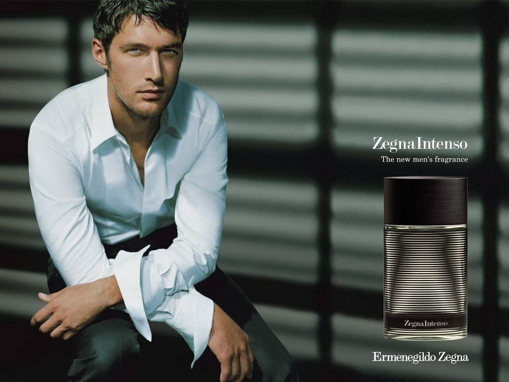 Tualetinis vanduo Ermenegildo Zegna Intenso EDT vyrams 50 ml цена и информация | Kvepalai vyrams | pigu.lt