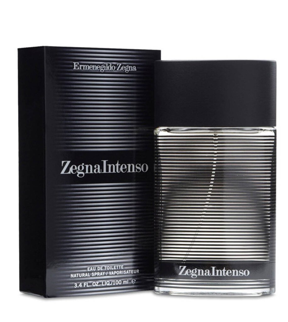 Tualetinis vanduo Ermenegildo Zegna Intenso EDT vyrams 100 ml kaina ir informacija | Kvepalai vyrams | pigu.lt