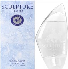 Tualetinis vanduo Nikos Sculpture EDT vyrams 100 ml kaina ir informacija | Kvepalai vyrams | pigu.lt