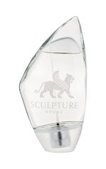 Tualetinis vanduo Nikos Sculpture EDT vyrams 100 ml kaina ir informacija | Kvepalai vyrams | pigu.lt