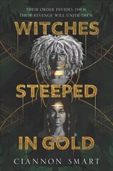 Witches Steeped in Gold цена и информация | Книги для подростков  | pigu.lt