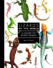 Lizards of the World: A Guide to Every Family kaina ir informacija | Knygos apie sveiką gyvenseną ir mitybą | pigu.lt