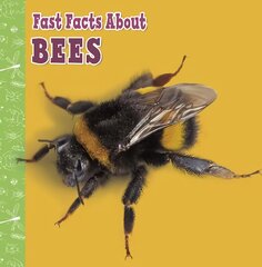 Fast Facts About Bees цена и информация | Книги для подростков  | pigu.lt