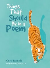Things That Should be in a Poem kaina ir informacija | Knygos paaugliams ir jaunimui | pigu.lt