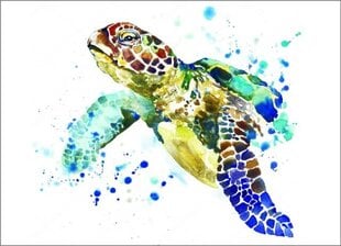 Алмазная мозаика 30x40 cm.  "Graceful Turtle" цена и информация | Алмазная мозаика | pigu.lt