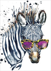 Алмазная мозаика 30x40 cm.  "Zebra with Glasses" цена и информация | Алмазная мозаика | pigu.lt