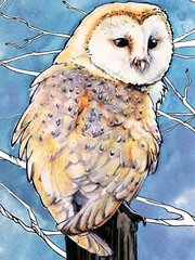 Алмазная мозаика 30x40 cm.  "Barn Owl" цена и информация | Алмазная мозаика | pigu.lt