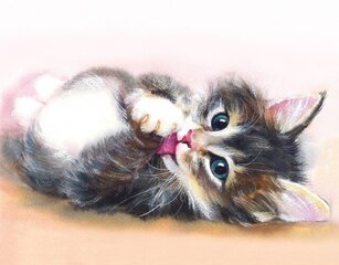 Алмазная мозаика 40x50 cm.  "Little Kitten" цена и информация | Алмазная мозаика | pigu.lt