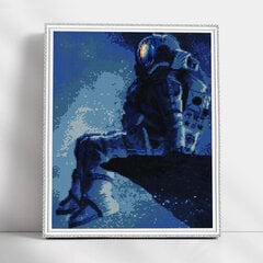 Алмазная мозаика 40x50 cm.  "Astronaut" цена и информация | Алмазная мозаика | pigu.lt