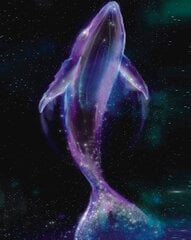 Алмазная мозаика 40x50 cm.  "Space Whale" цена и информация | Алмазная мозаика | pigu.lt