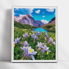 Алмазная мозаика 40x50 cm.  "Blooming Meadow" цена и информация | Алмазная мозаика | pigu.lt