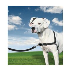 Упряжь для животных PetSafe Easy Walk Чёрный Medianav (M) цена и информация | Petsafe Товары для животных | pigu.lt