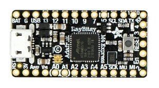 ItsyBitsy M4 Express ATSAMD51 – ATSAMD51 mikrovaldiklio plokštė – Adafruit 3800 цена и информация | Электроника с открытым кодом | pigu.lt