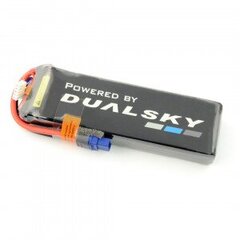 Dualsky Li-Pol 3300mAh 50C 14.8V цена и информация | Аккумуляторы для телефонов | pigu.lt