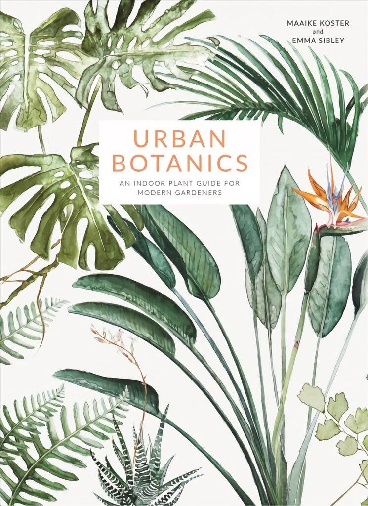 Urban Botanics: An Indoor Plant Guide for Modern Gardeners kaina ir informacija | Knygos apie sodininkystę | pigu.lt