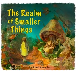 Realm of Smaller Things цена и информация | Книги для малышей | pigu.lt