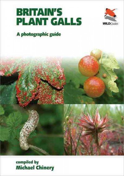 Britain`s Plant Galls - A Photographic Guide: A Photographic Guide kaina ir informacija | Knygos apie sveiką gyvenseną ir mitybą | pigu.lt