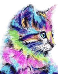 Алмазная мозаика 40x50 cm.  "Colorful Kitten" цена и информация | Алмазная мозаика | pigu.lt