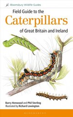 Field Guide to the Caterpillars of Great Britain and Ireland цена и информация | Книги о питании и здоровом образе жизни | pigu.lt