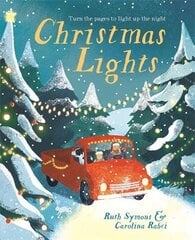 Christmas Lights цена и информация | Книги для малышей | pigu.lt