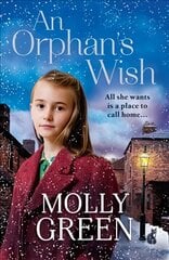 Orphan's Wish: The New, Most Heartwarming Historical Fiction Novel to Curl Up with This Winter ePub edition kaina ir informacija | Fantastinės, mistinės knygos | pigu.lt