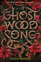 Ghost Wood Song цена и информация | Книги для подростков  | pigu.lt