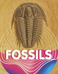 Fossils цена и информация | Книги для подростков  | pigu.lt