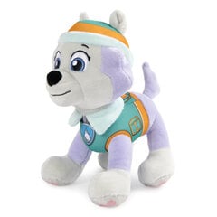 Pliušinis žaislas Cat Pack & Pup Šunyčiai Patruliai (Paw Patrol) kaina ir informacija | Minkšti (pliušiniai) žaislai | pigu.lt