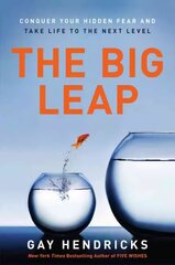 Big Leap: Conquer Your Hidden Fear and Take Life to the Next Level kaina ir informacija | Saviugdos knygos | pigu.lt
