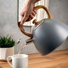 Стальной чайник со свистком, 3 л, серый цена и информация | Чайники, кофейники | pigu.lt