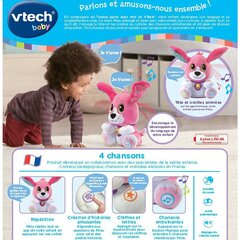 Плюшевая игрушка, издающая звуки Vtech Baby Doggie Talk to me (FR) Пёс цена и информация | Развивающие игрушки | pigu.lt