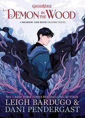 Demon in the Wood: A Shadow and Bone Graphic Novel цена и информация | Книги для подростков  | pigu.lt