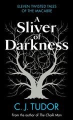 Sliver of Darkness kaina ir informacija | Fantastinės, mistinės knygos | pigu.lt