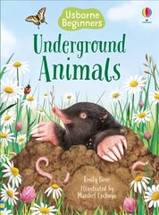 Underground Animals kaina ir informacija | Knygos paaugliams ir jaunimui | pigu.lt