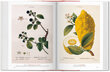 Garden Eden. Masterpieces of Botanical Illustration. 40th Ed. Multilingual edition цена и информация | Knygos apie meną | pigu.lt