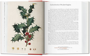 Garden Eden. Masterpieces of Botanical Illustration. 40th Ed. Multilingual edition цена и информация | Книги об искусстве | pigu.lt