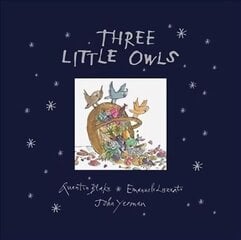 Three Little Owls Deluxe Edition New edition цена и информация | Книги для самых маленьких | pigu.lt