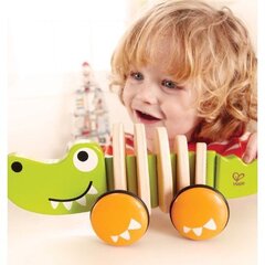 Medinis krokodilas Hape, E0348 kaina ir informacija | Žaislai kūdikiams | pigu.lt